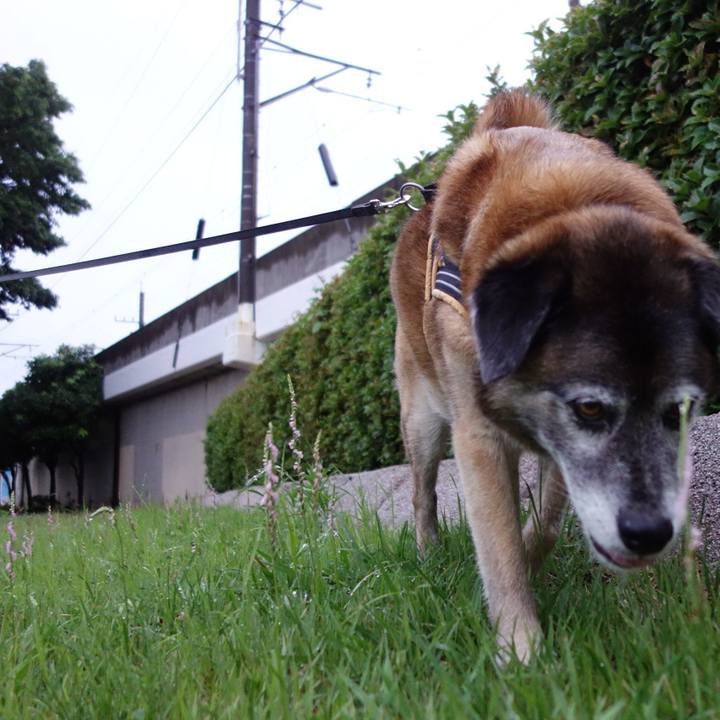 28615ab8 a0fc 407f 983f 50da4d90ebe4 1561208346787