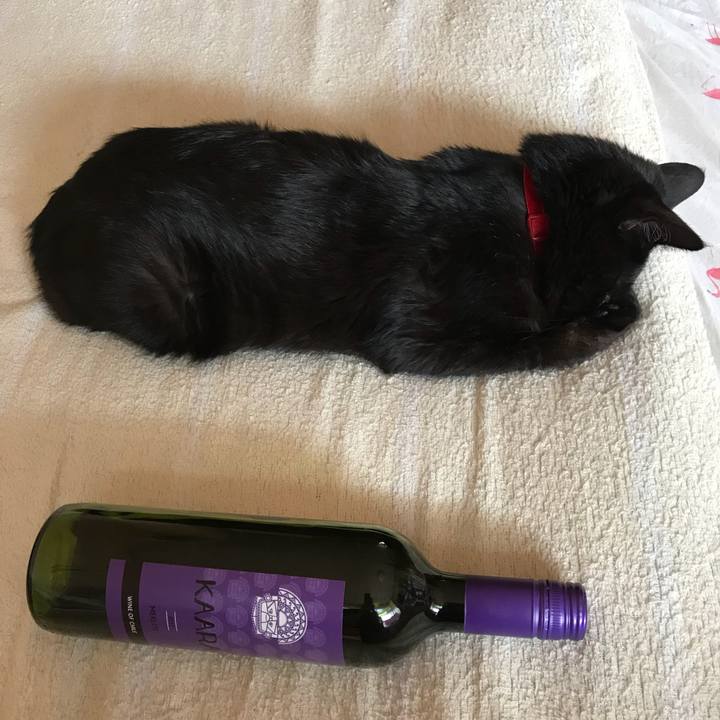 286171f5 c385 493c 869c 2243215cbf50 1530599433939