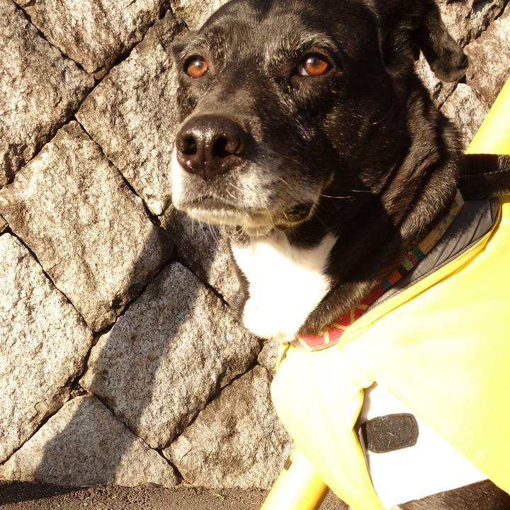 28619f34 0ab2 45b2 ad2f d08bf6d8ff73 1740443791016