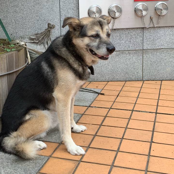 2861ada2 ff62 4234 a0e4 639bee1d3124 1567755573480