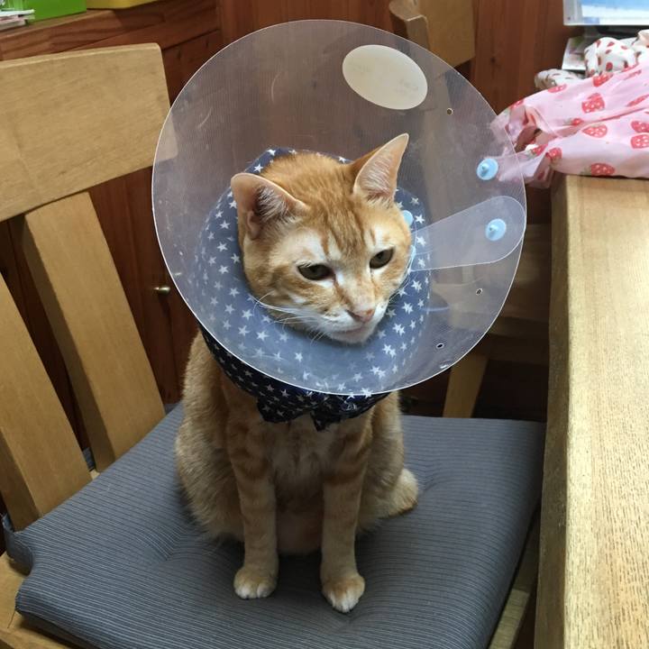 2861b0cc 7516 4e41 a97d e81aa9acb989 1524695530261