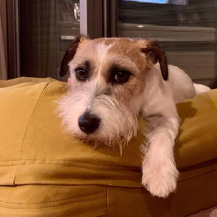 2861c054 67f1 44a3 82d3 8e0f0122bafb 1656072604864