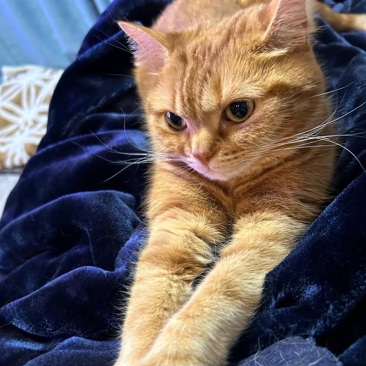 2861ddad 92c8 4600 913e f53800772e61 1713587584820