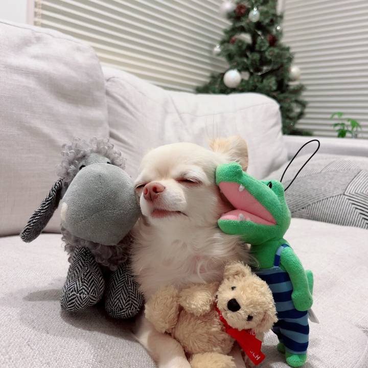 2861e5c9 ec84 441a bbca da27a90701c1 1702290937778