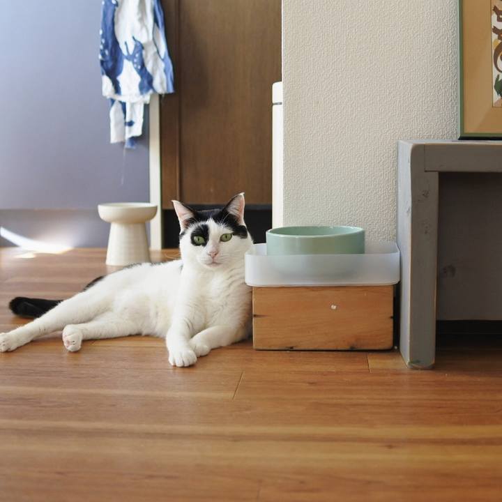 2861e642 5ae6 46d5 b22d 4b4cf560a81d 1604533447628