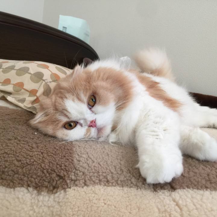 2861ef8e 8357 4248 b825 b63dccf8618b 1578784537334