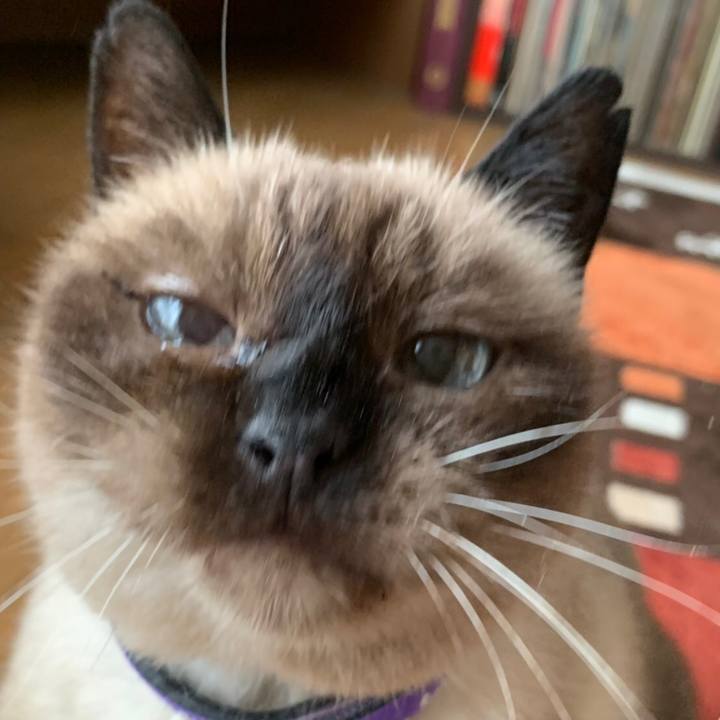 286220ed 5326 4e2e b221 04435a4c7916 1567729693233