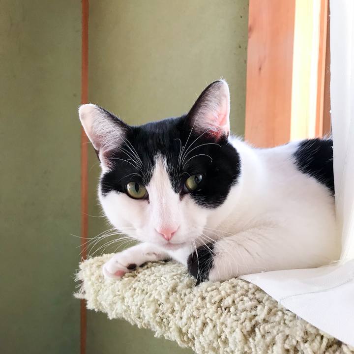 28623b36 f173 4d42 adec ef9840760cce 1520470438335