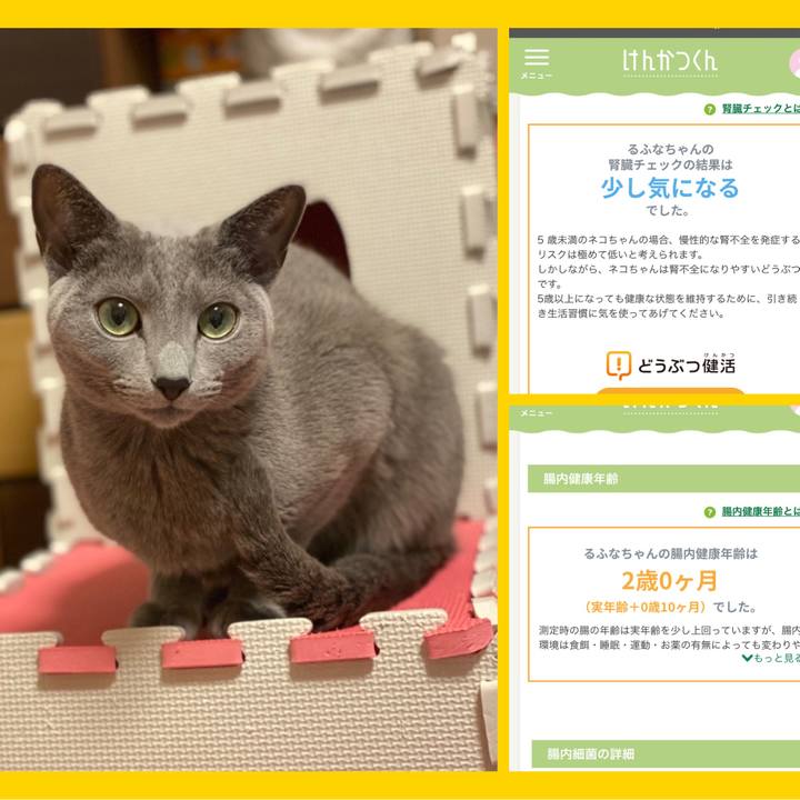 28623c33 e8bb 416f a20b 20138d8cd55f 1639626101352