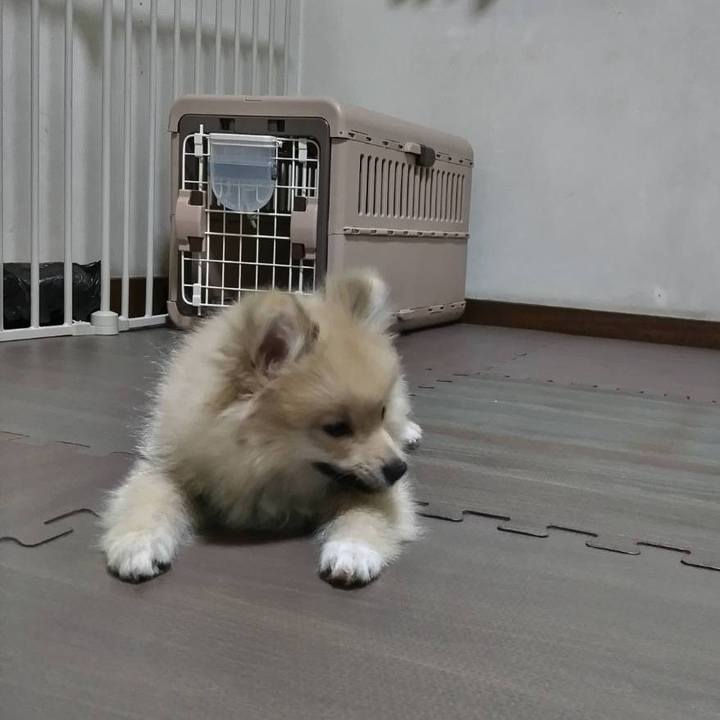 28625a87 0bcd 4443 bc3a 274518416b7b 1723472845405