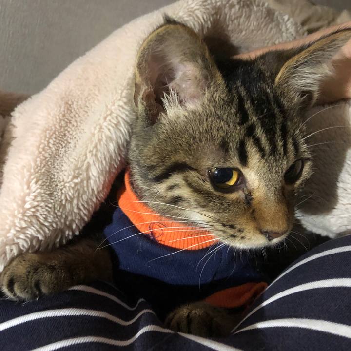 2862b747 8b8d 4087 9aa4 f9786adb6a1d 1730713808149