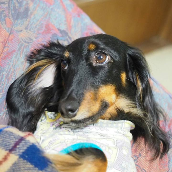 2862d5a4 edfe 4e75 a2a8 254c35431ec3 1526478676830