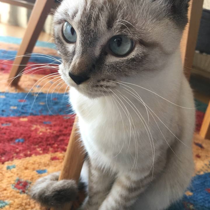 2862f7bc 3cc2 4f06 b230 189fb56452b9 1543542721515