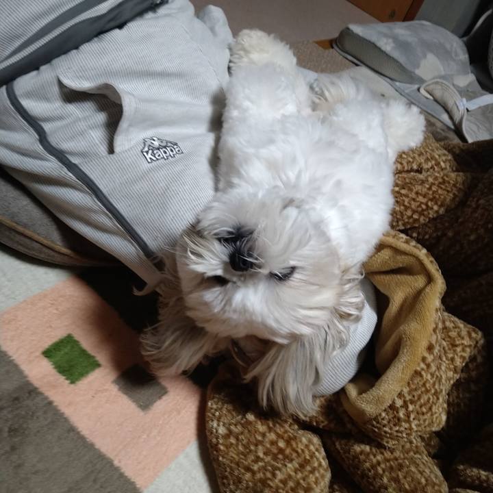 286332ca 9729 43ba b570 a381da553a35 1648986126557