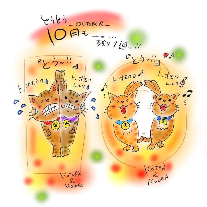 286375cd 9fcd 4b5a abea 25d96d48feac 1603724558108