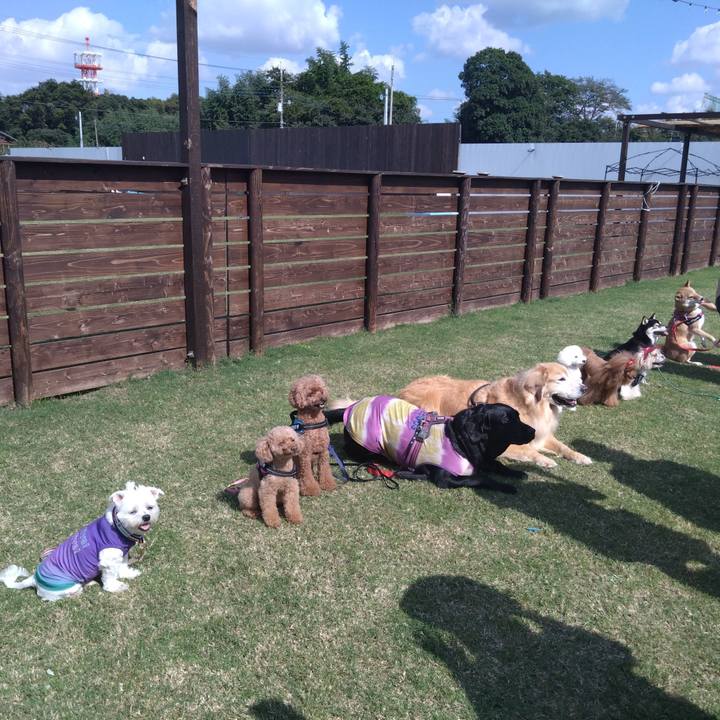 28639212 3977 4c06 a4d0 a078641de6e7 1728802034683