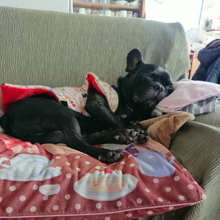 2863be2e 8bed 457a 8cba 045d6a693de1 1579236191656