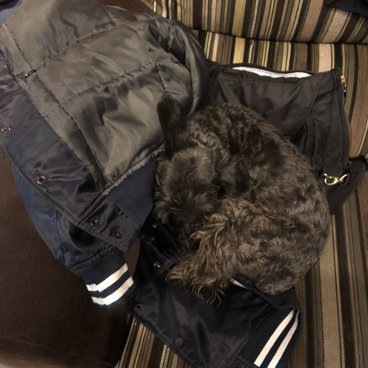 2863c8e1 4b33 4bac 8e60 174344f42309 1546780666592