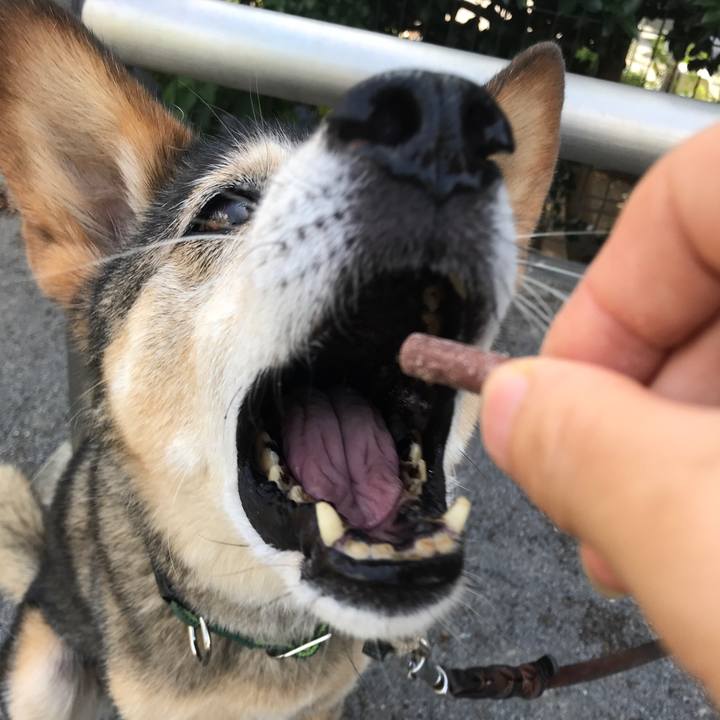 2863d970 f378 4178 9f7f 0124563eb699 1532666556661