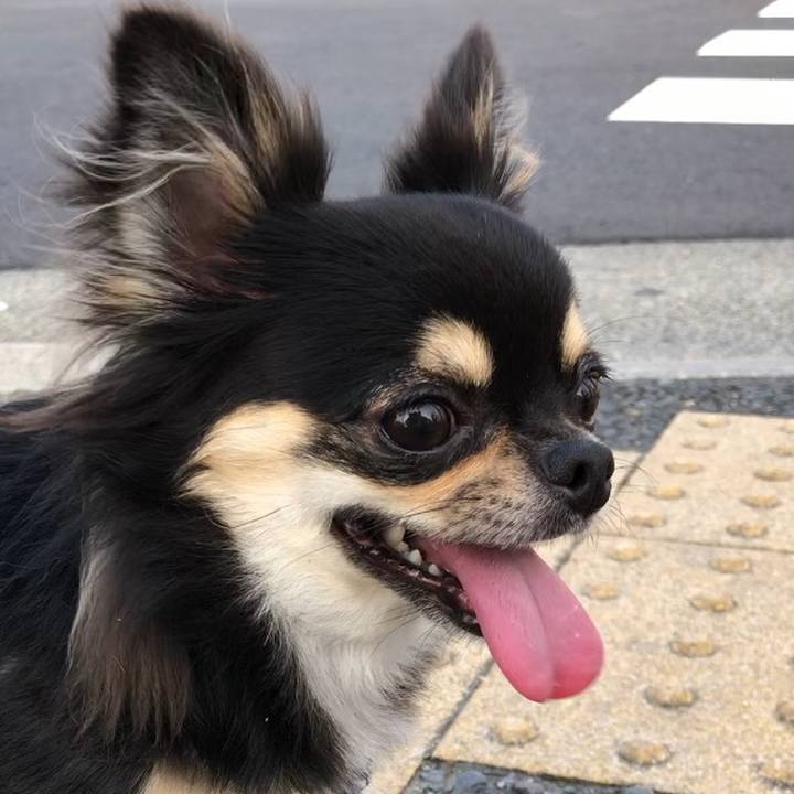 2863dea2 f167 4c47 ba02 6f1f8a4fab60 1564525747855