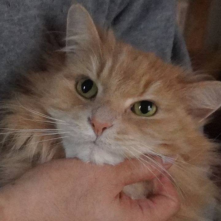 2863ef4e d4b9 4559 8723 0a9d991cfd63 1769857611929