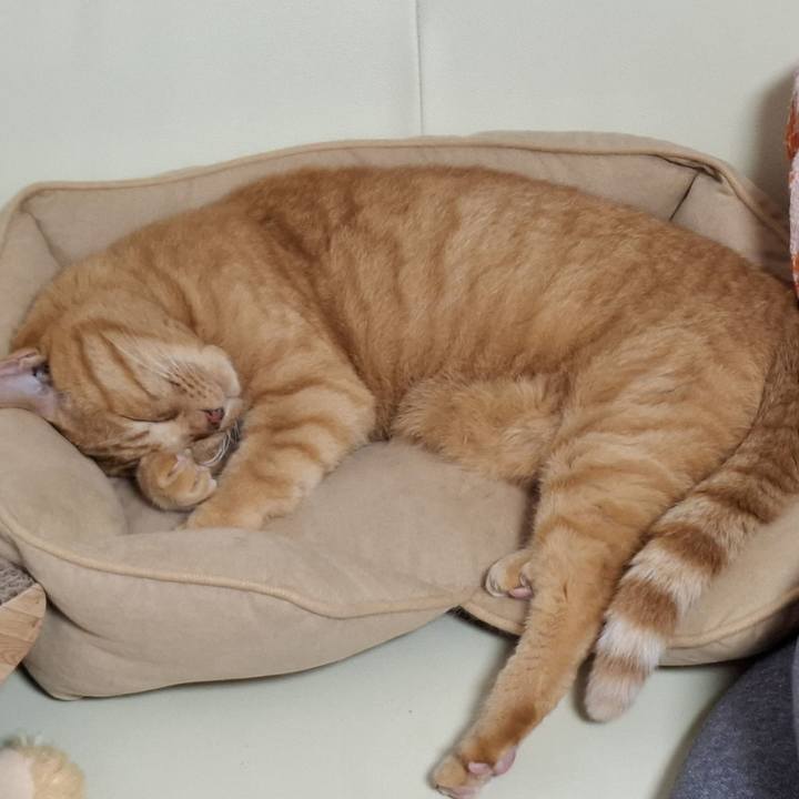 2864057d 7ca8 484c 9f8a 5953f38e09e4 1753069335675