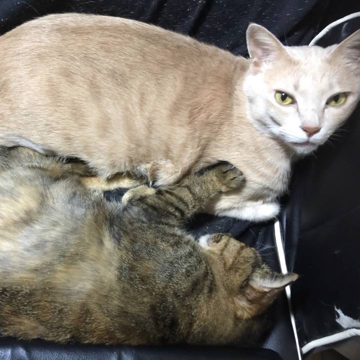 28640b62 e2ac 4060 bab5 0b19b7b0788b 1564482715848