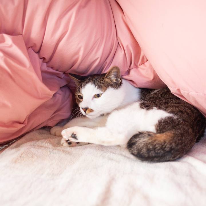 28642edb 5140 44fc 8d46 71cd843aa94f 1549027184632