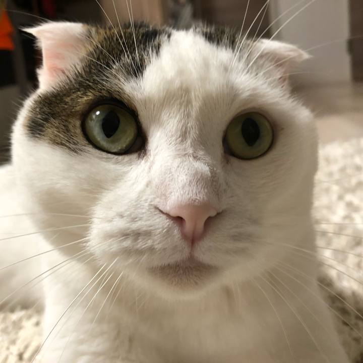 28644fd1 c089 4b4a 8068 b4f068f69609 1530970970697