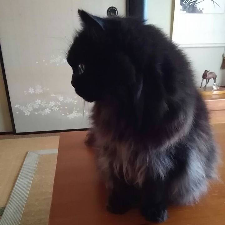 28646b56 a5b0 4898 bf0b 523971294e66 1533700006477