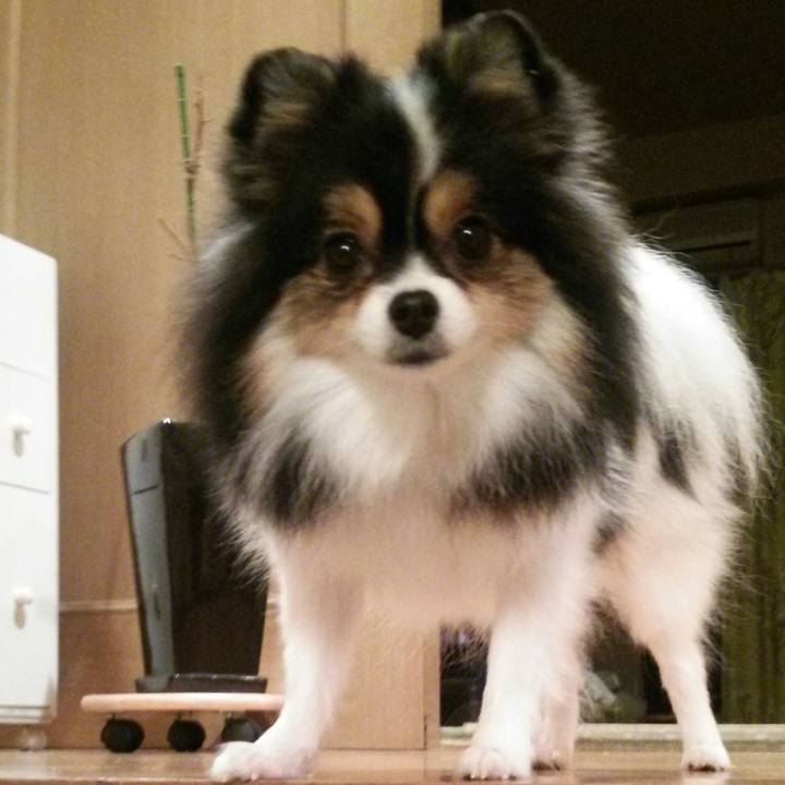 2864d051 89cb 4112 9491 dc5199240b0d 1508412272769