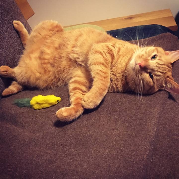 2864d782 eeac 4455 be8e 16a0787d4592 1529587726280