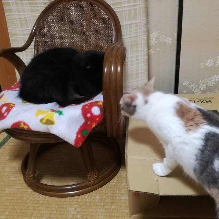 2864dd62 72fa 4186 8993 fb4a1fa12155 1771324872283