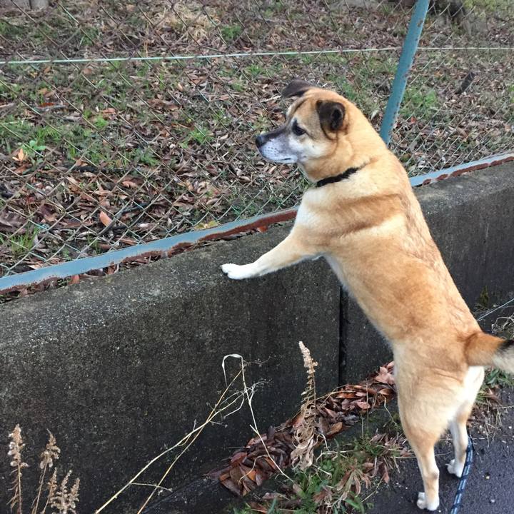 2864dda5 006b 4acd 9019 e37ac95f24ec 1521626347822