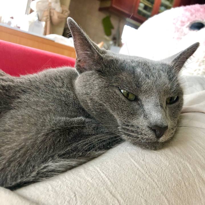 2864f5e5 bf17 40a3 aad1 1939b11f19e2 1625722919952