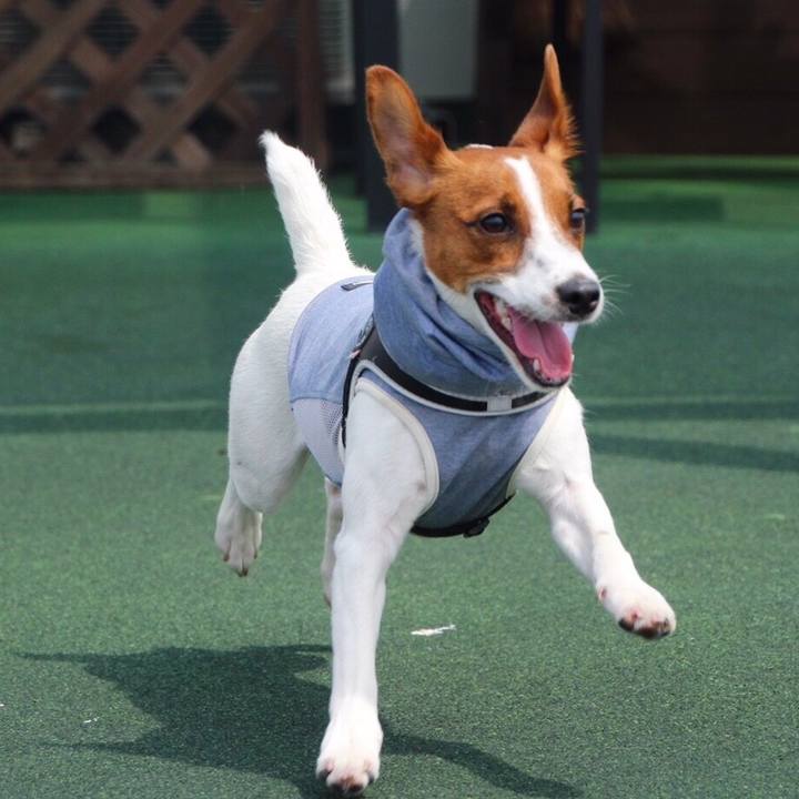 2864f628 aa06 4680 af8b c2a0f7a139f0 1523225059363