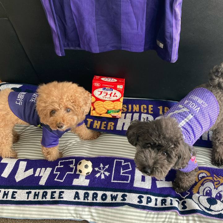 2864ff02 9c83 4f5a a14b e11226dde8c5 1666348215946