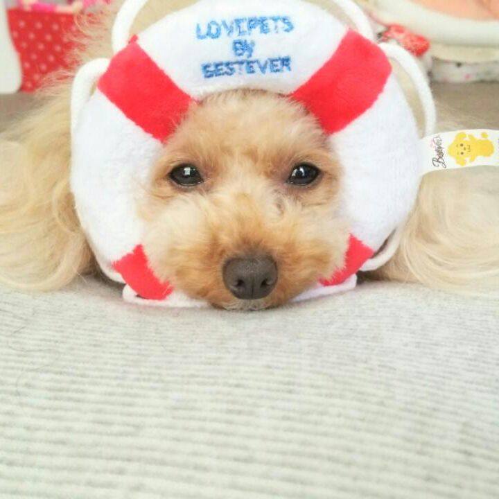 28650df1 7381 46a4 ab55 1892e91a0916 1534507813839