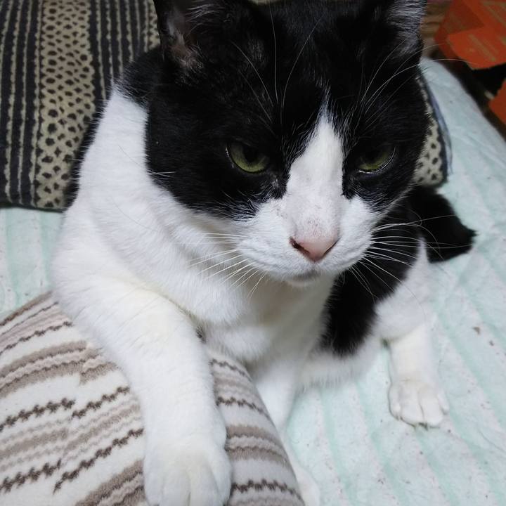 28654526 87a5 4e69 834b 217f33cabf3d 1553130895065