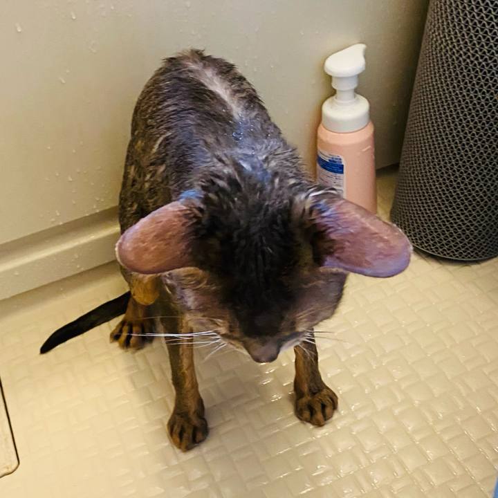 286549df 0763 429e 8371 57ed44a7b4e5 1774791302791