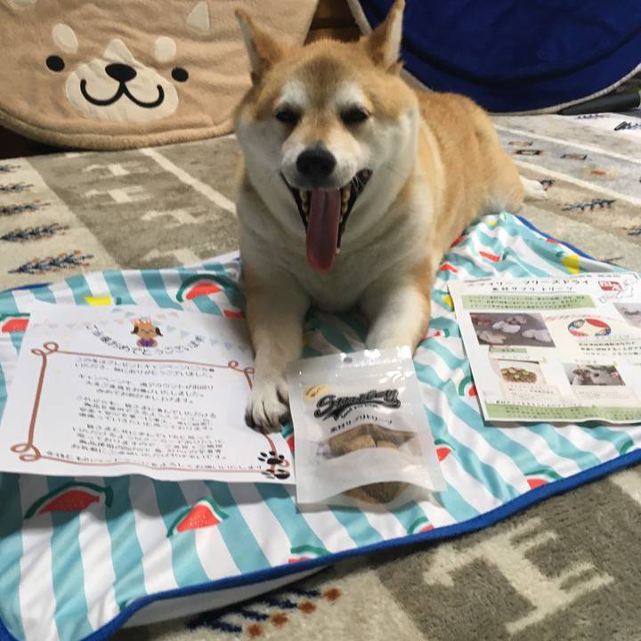 28656663 627c 4648 8e20 a66af6feeadf 1621496552181