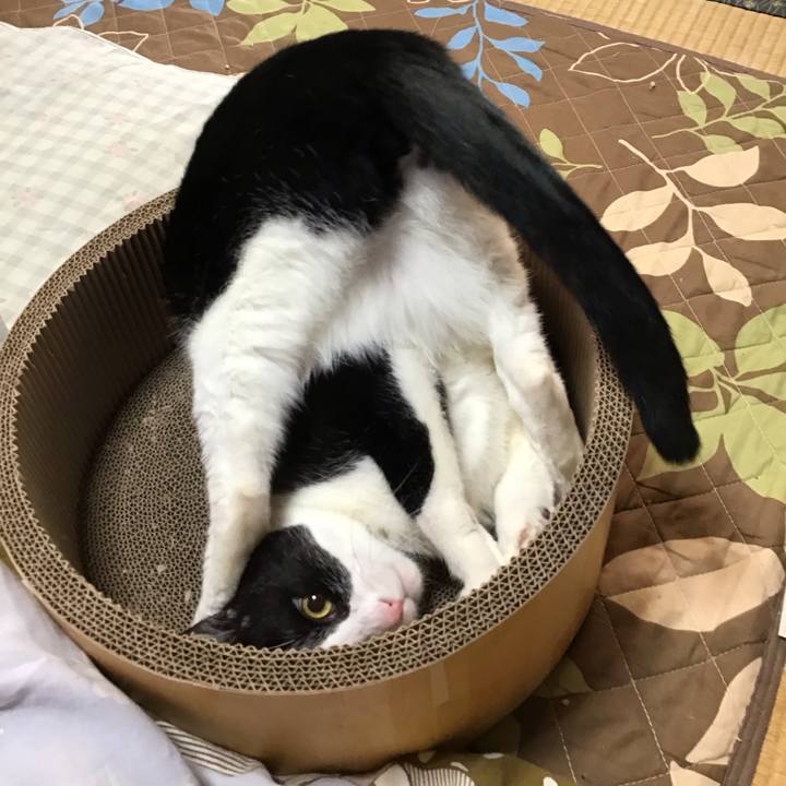 28657e8a 0f16 4cfb b2c7 2c3942fd7094 1734850920942