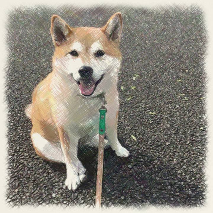 2865d37f 6091 439e aa1a f18daea9b264 1606453367031