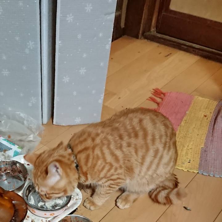 2865dbfd e648 4dd3 ba25 61136c9bfd0b 1640994127921