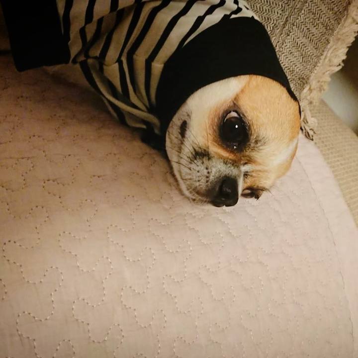 286612a4 feba 4a5f af65 51ac44b98ac5 1599646286626