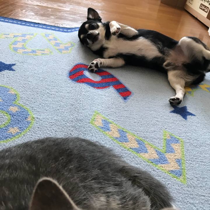 28669ccb 77d5 46ab 92f3 637285acfa91 1532167522484