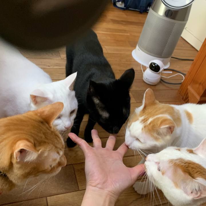 2866edc3 6544 4cd1 834a 062a79f9de05 1588133566897