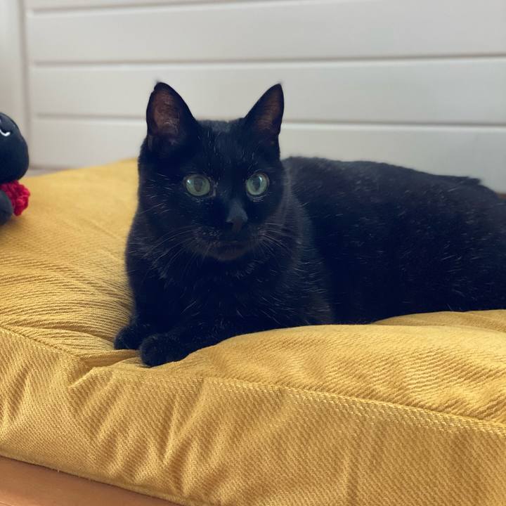 286736f4 f2db 4aaa 88db b800431b7106 1636974811886