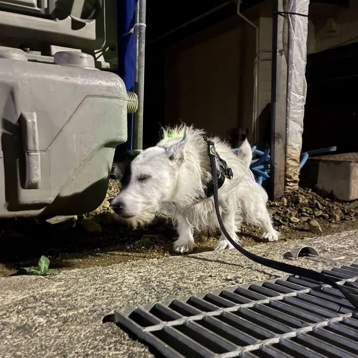 2867ac9b fba5 4861 bc3f 075086008703 1758719481875