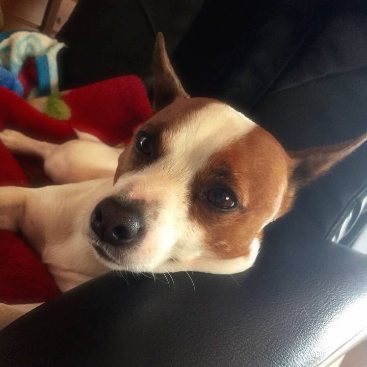 2867ba50 fea5 4cdf 9766 6f963dd86504 1522837928835